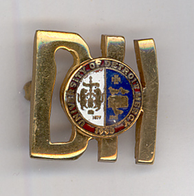 University of Detroit Mercy Dental Hygiene Pin