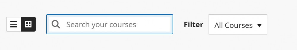 image of course search box