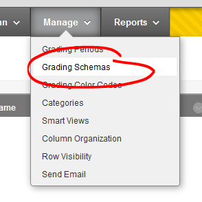 Grading schema option